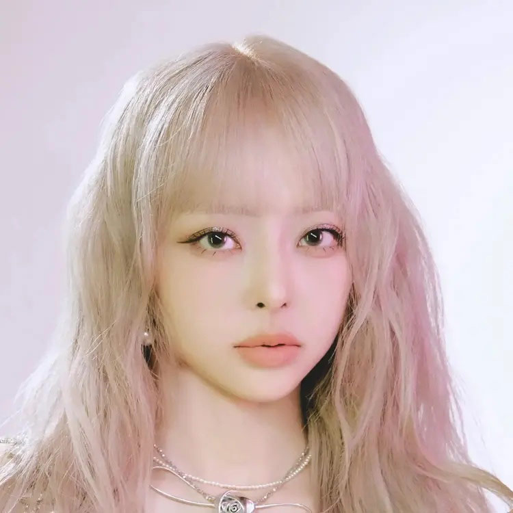 ViVi
