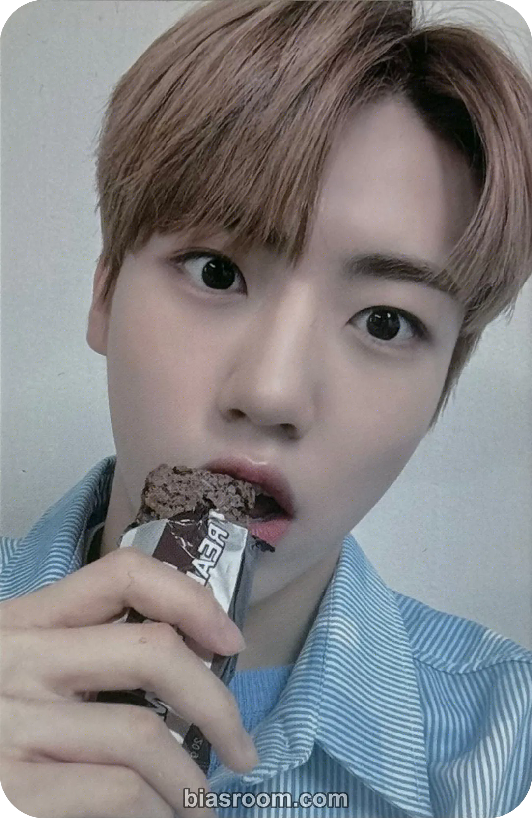 TO1 - Woongki - RE:BORN Album dear my muse (dmm)