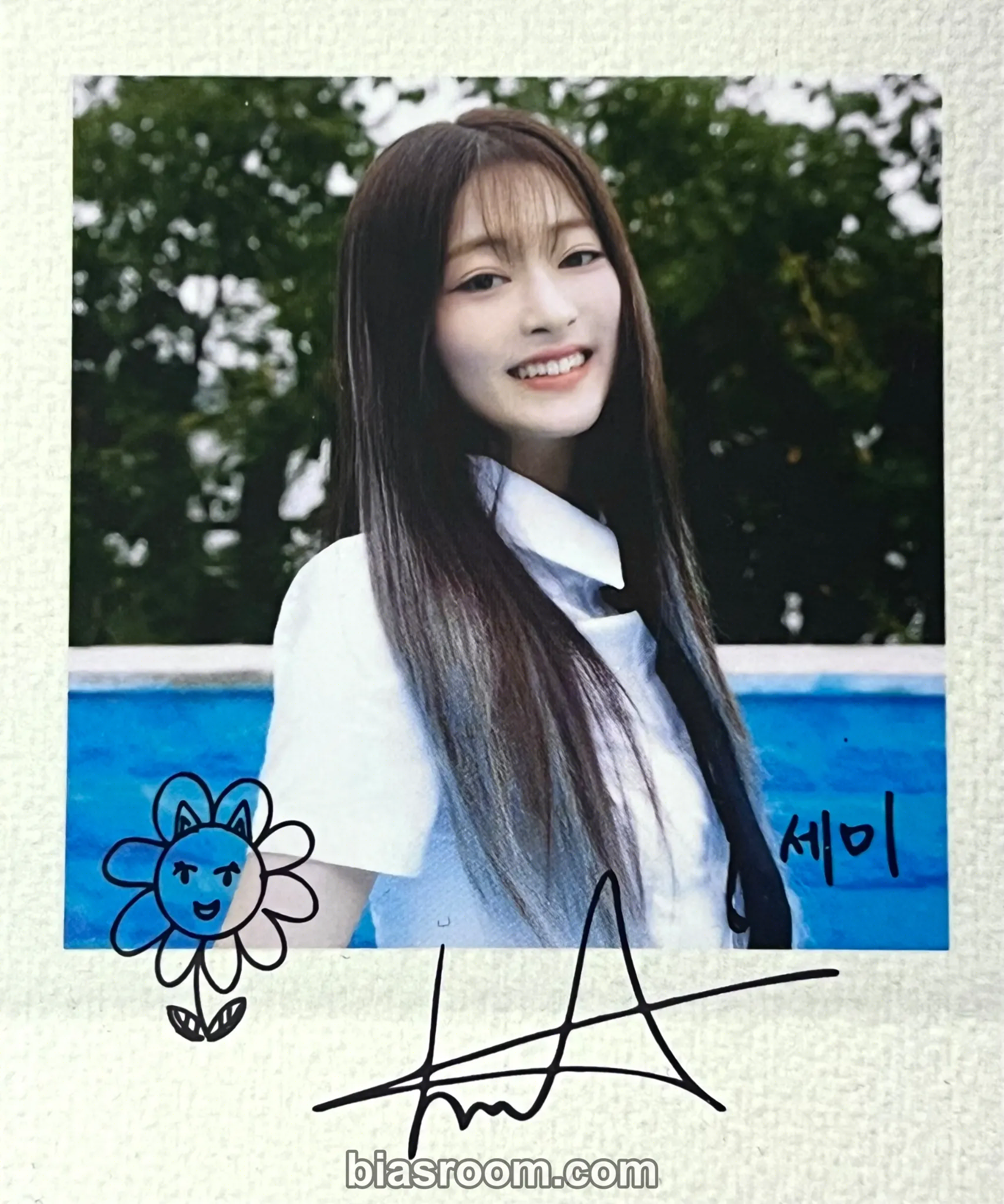 cignature - Semi - Us in the Summer Album album inclusion polaroid