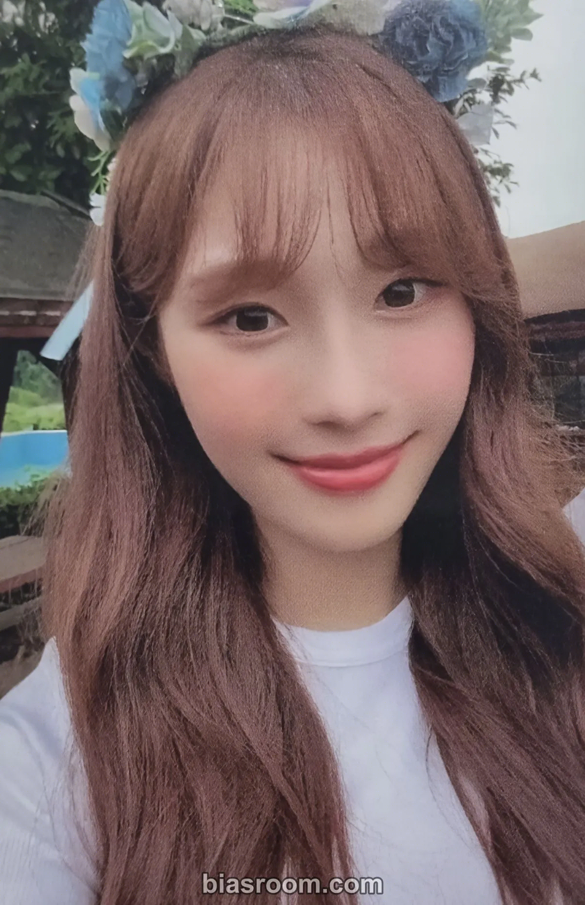 cignature - Chaesol - Us in the Summer Album everline