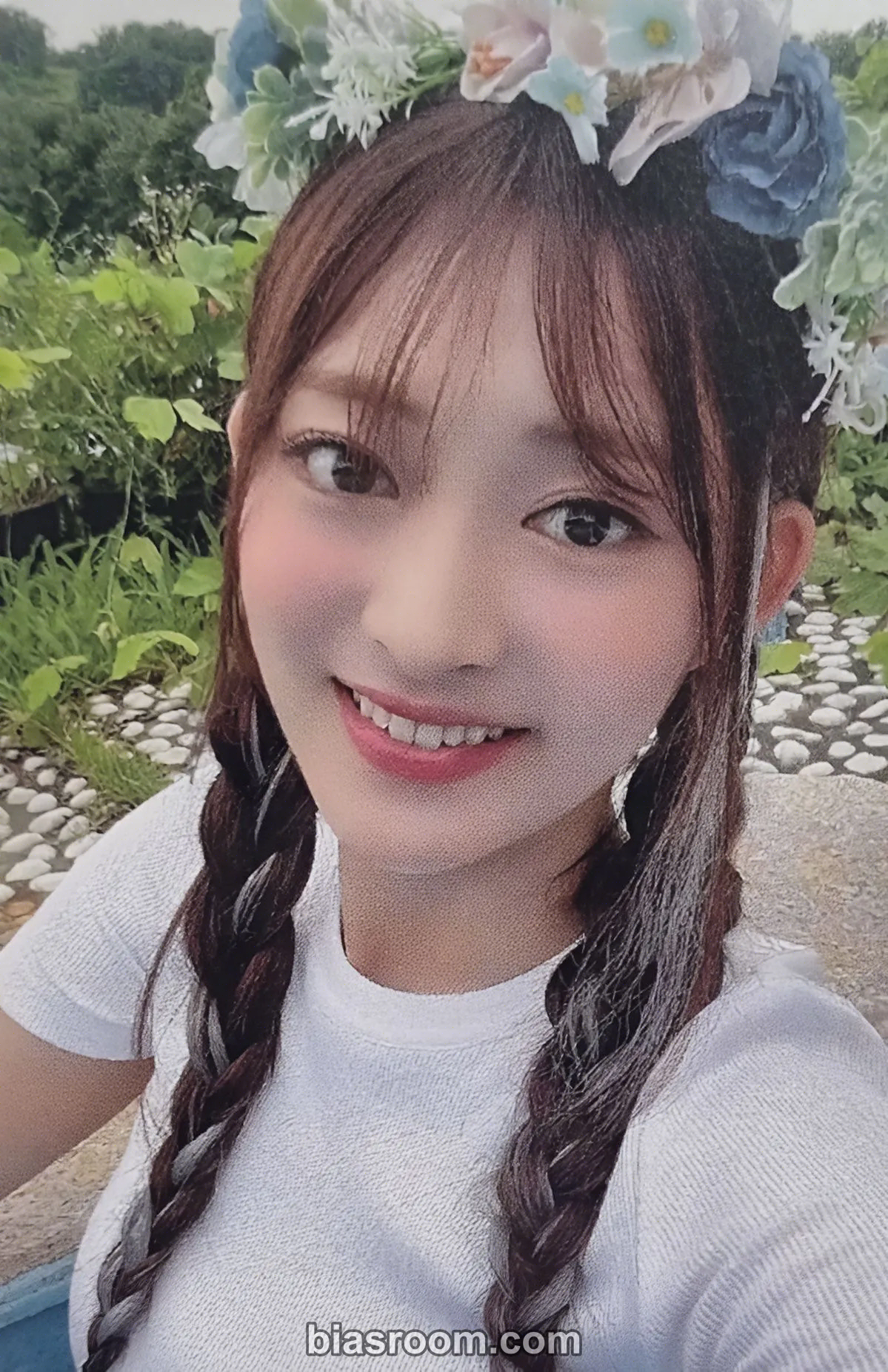 cignature - Semi - Us in the Summer Album everline