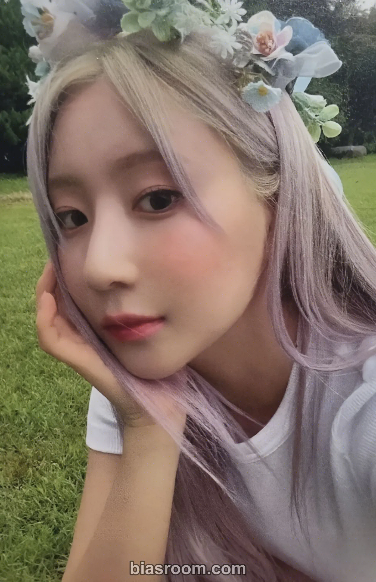 cignature - Dohee - Us in the Summer Album everline