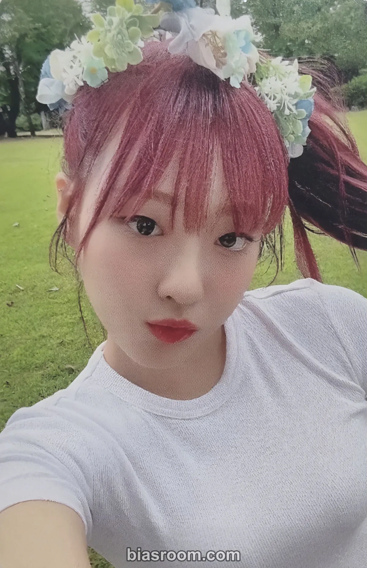 cignature - Chloe - Us in the Summer Album everline