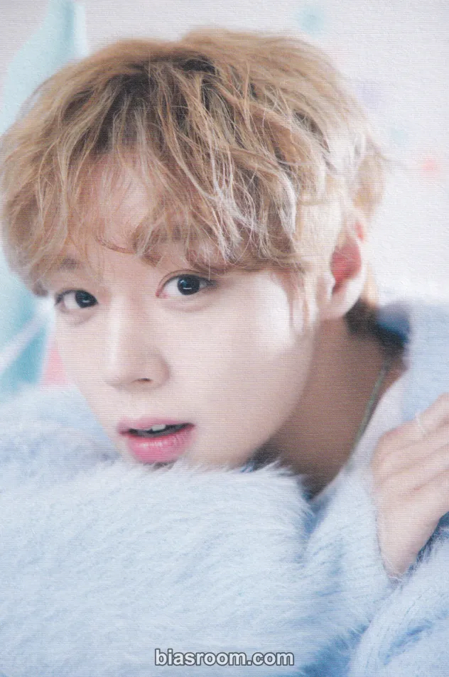 Park Jihoon - Jihoon - 0529 JIHOON Birthday Boy BIRTHDAY CAFE Event postcard photo package