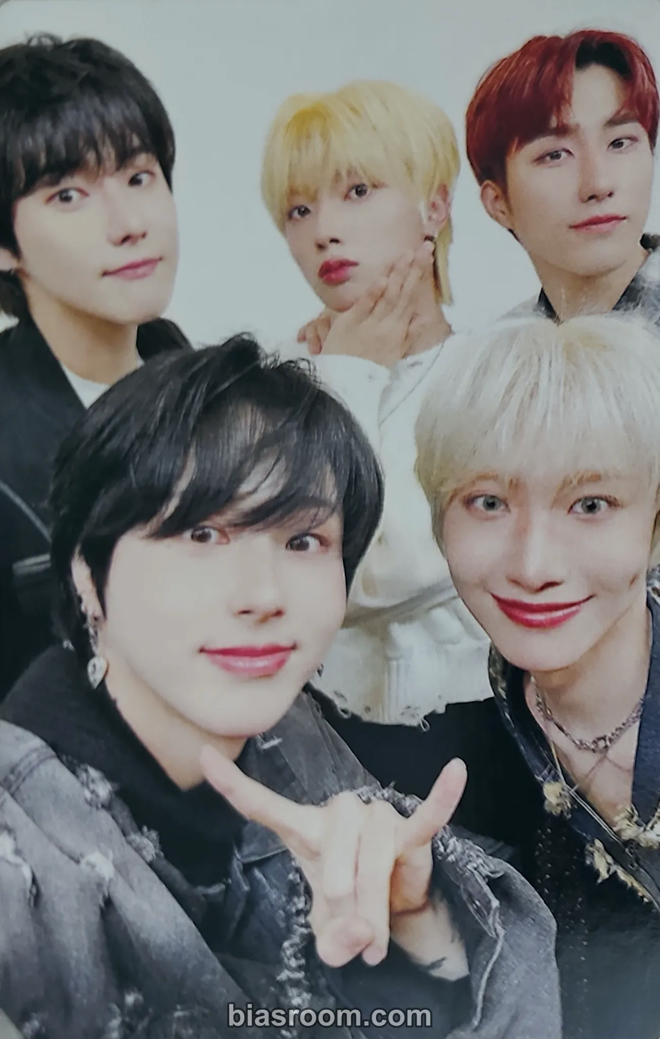 ONEWE - 2025 ONEWE WORLD TOUR 'O! NEW E!volution Ⅳ' Event merch photocard photocard set north america