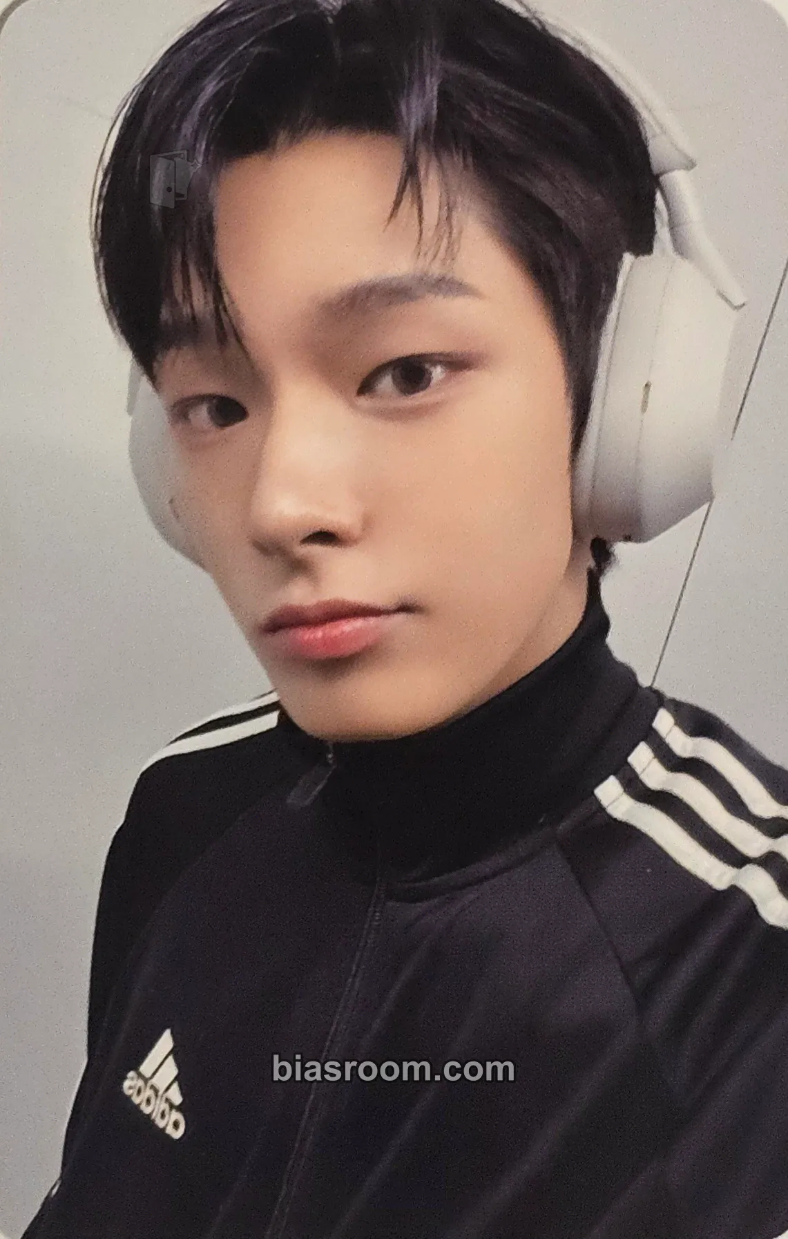 LUMINOUS AHOF スティーブン トレカ Steven Photocards (AHOF) | Bias Room