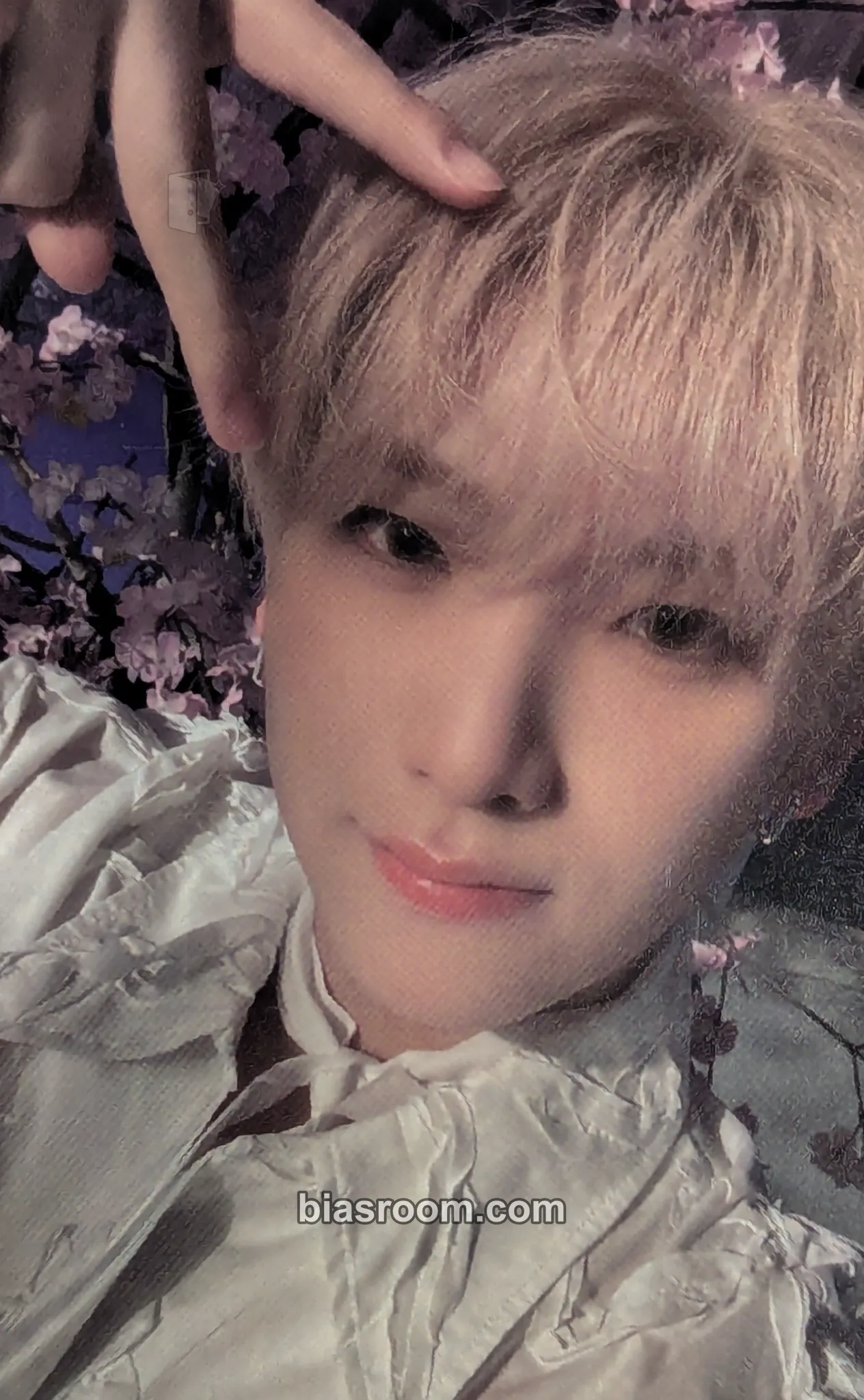 Yuma Photocards (&TEAM) | Bias Room