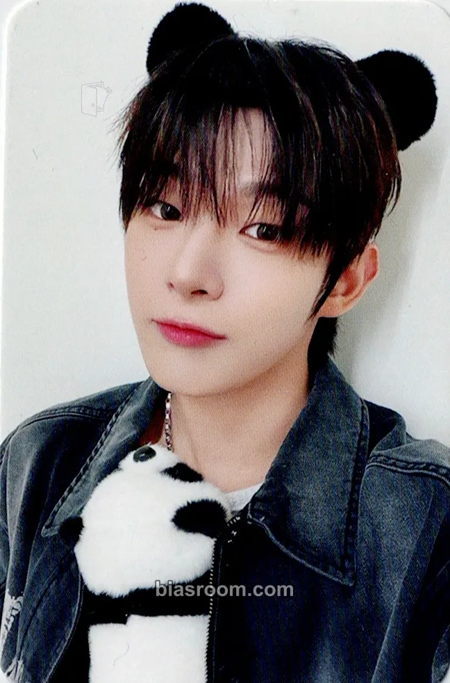 Steven Photocards (AHOF) | Bias Room