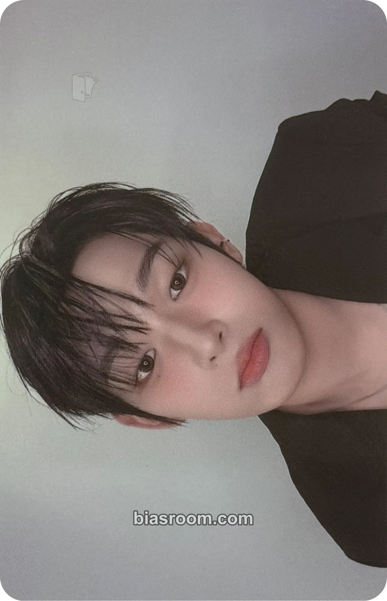 Steven Photocards (AHOF) | Bias Room