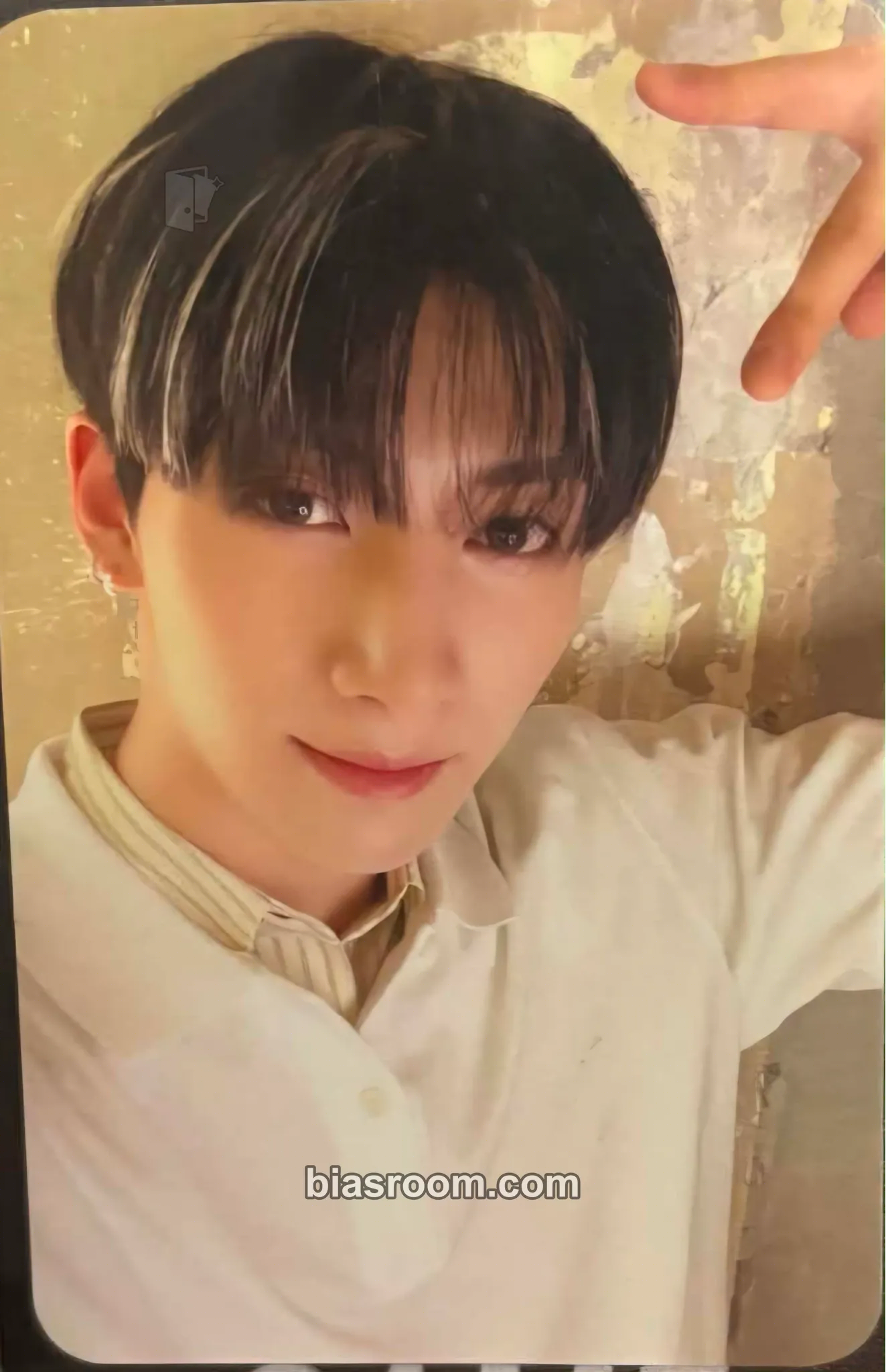 Yu Photocards (NEXZ) | Bias Room