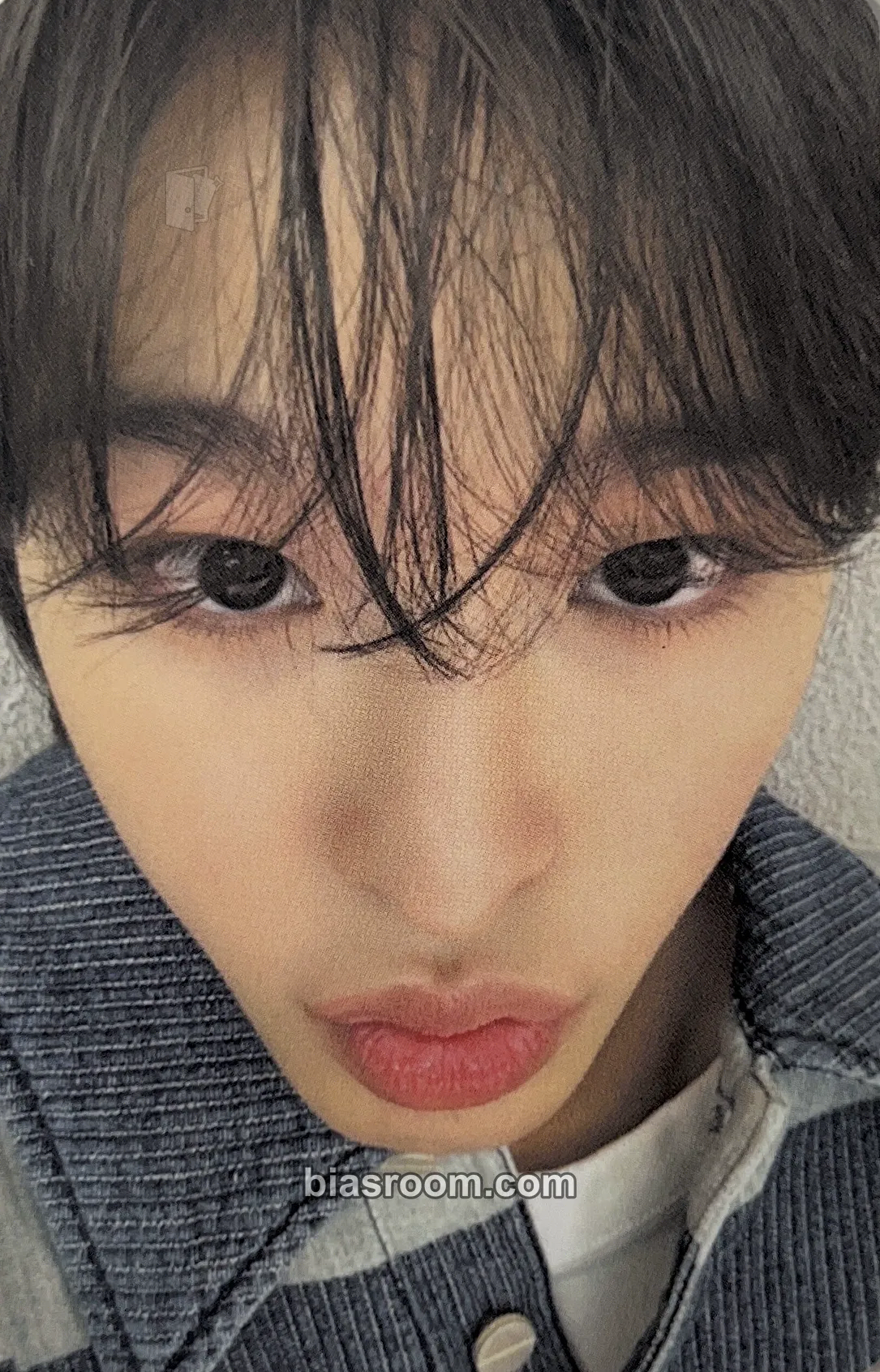 NCT WISH - Riku - Steady Album apple music